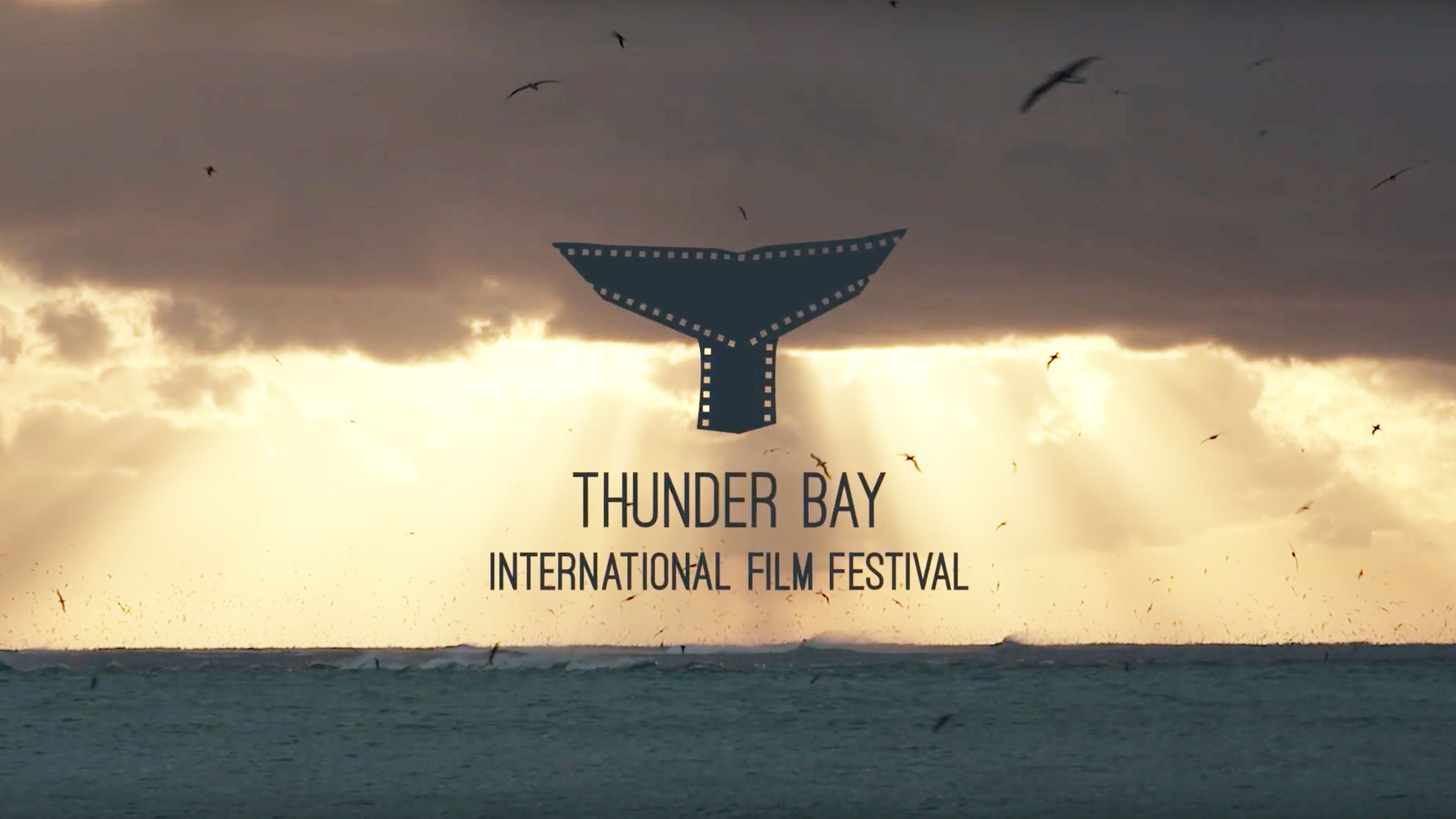The Show Will Go On! Thunder Bay International Film Festival Tickets on Sale Now
